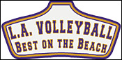 Volleyball Award